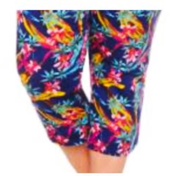 CAPRIS, FLORAL, SUMMER BLUE (Multicolour), SIZE 5X, 5 POCKETS, 97% COTTON 3% SPA - Picture 1 of 9